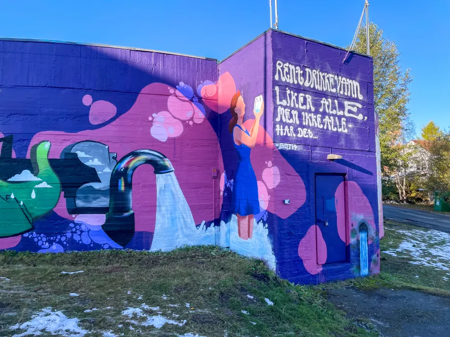 Forhåpningen trykkbasseng dekket av gatekunst_2