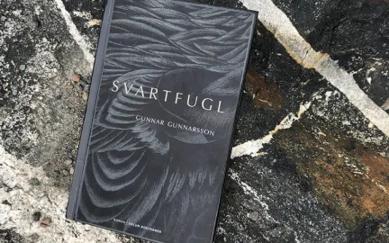 Romanen Svartfugl