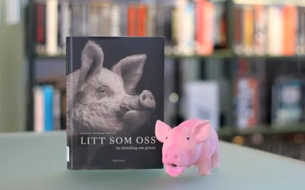 Litt som oss-Øystein anbefaler Ei bok står oppstilt med forsiden mot kamera. På forsiden er et bilde i sort og hvitt av en gris. Ved siden av boka står en rosa leketøysgris. Foto.