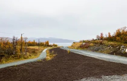 Nordspissen revegetering 3 Nordspissen revegetering 3