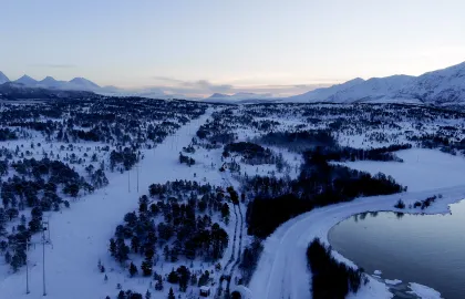 Dronefoto av gravetrase utenfor vei på Vikran Dronefoto av gravetrase utenfor vei på Vikran.