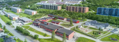 Lunheim skole sommer